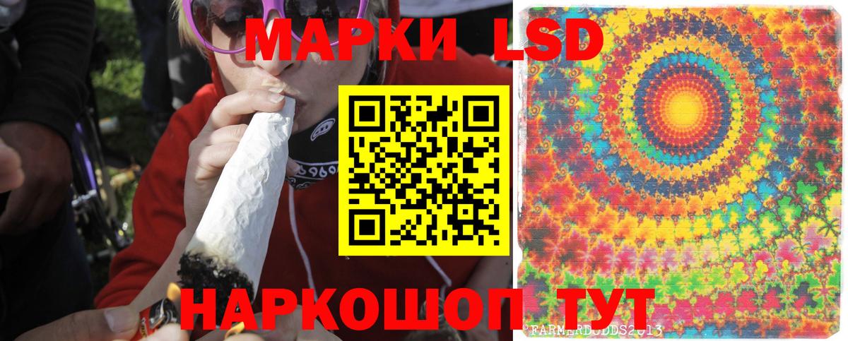 Борзя  Лсд 25 экстази кислота  ЛСД экстази ecstasy  Вход с VPN 