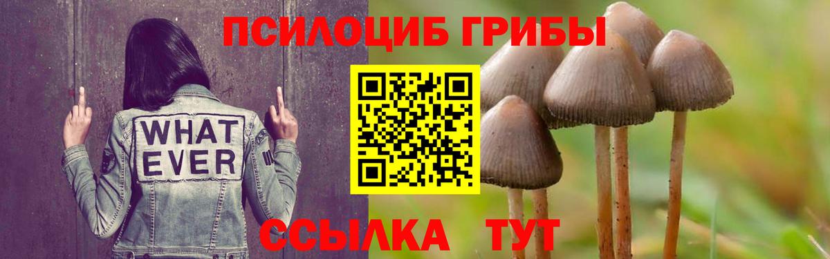 Борзя  Псилоцибиновые грибы Psilocybine cubensis  цена наркотик  Галлюциногенные грибы Magic Shrooms  Вход с VPN 